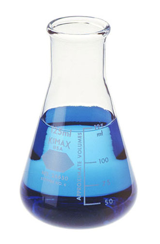 Glass Erlenmeyer Flasks