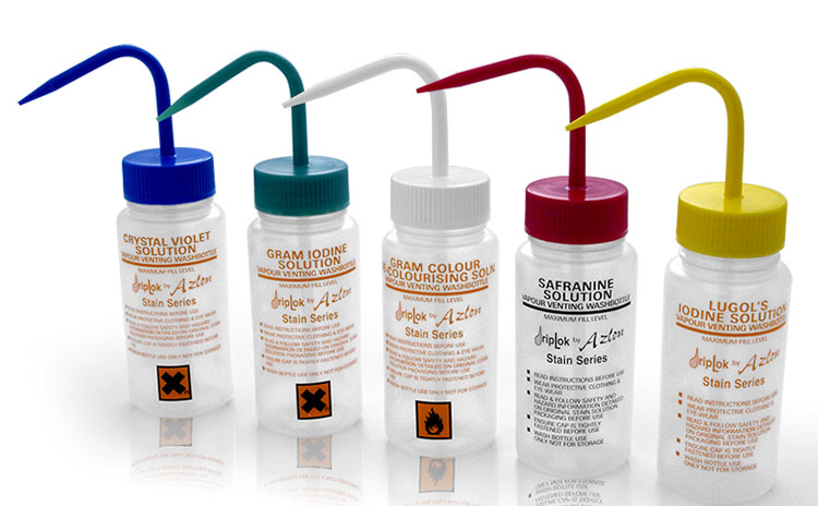 Biological Stain Bottle Kit