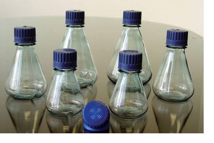 Sterile Polycarbonate Plastic Erlenmeyer Flasks w/ PP Closures