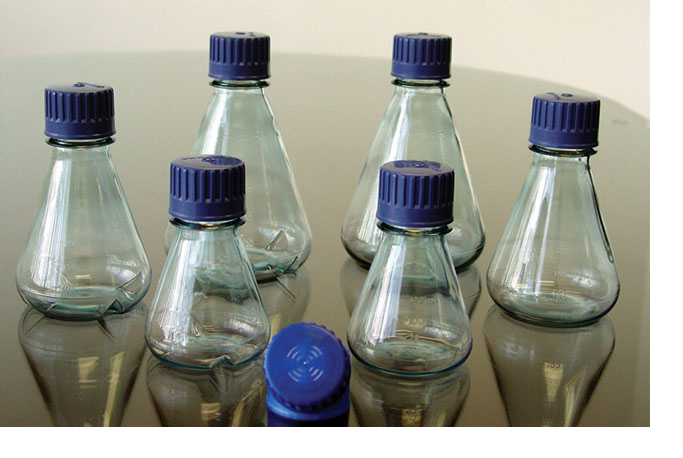 Plastic Erlenmeyer flasks