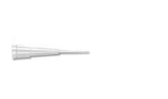 Disposable Pipette Tips, Qualitips 10 ul Polypropylene Microtips for Gel Sequencing