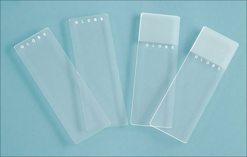 SKS Science Products - Glass Microscope Slides