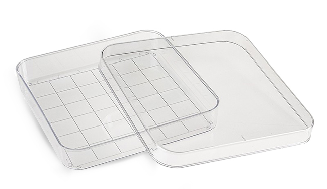 Square Sterile Petri Dishes w/ Grids