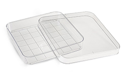 Clear Polystyrene Sterile Square Petri Dishes with Grid