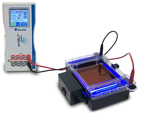 Electrophoresis System