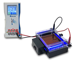 MyGel InstaView™ Complete Electrophoresis System