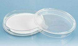 Non-Grid Polystyrene Petri Dishes