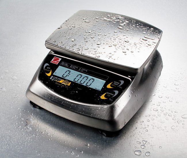 Portable Scales, Valor 3000 Xtreme Portable Washdown Balances