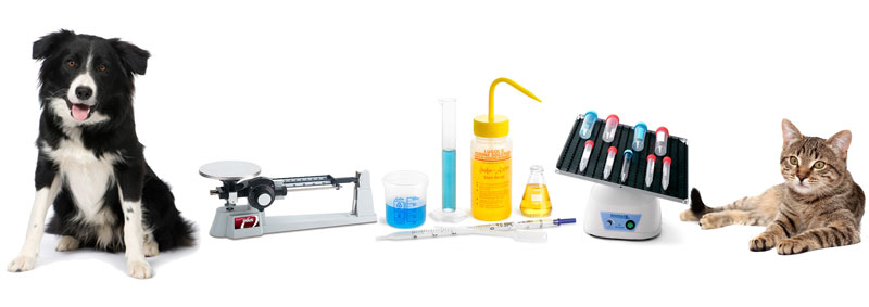 Veterinary Equipment